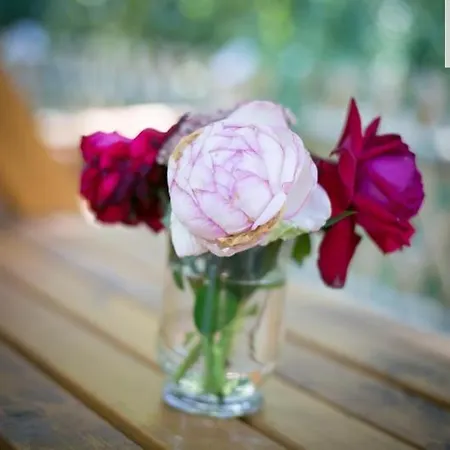 Forsthaus Leiner Berg * Dessau-Rosslau