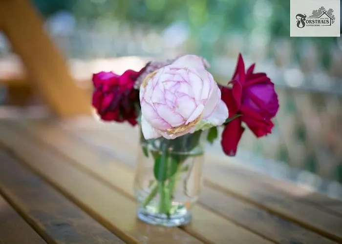 Forsthaus Leiner Berg * Dessau-Rosslau