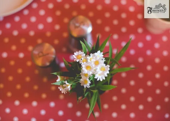 Forsthaus Leiner Berg * Dessau-Rosslau