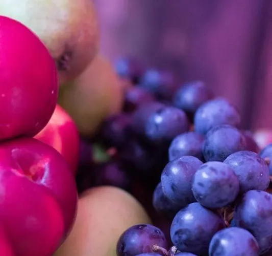 Forsthaus Leiner Berg Vendégház